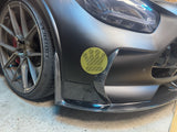 Black Series Body Kit - C190 R190 AMG GT GTS (15-24)