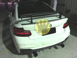 Carbon Fiber Diffuser - F22 2 Series